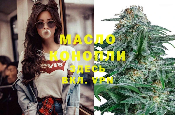 mdpv Инта