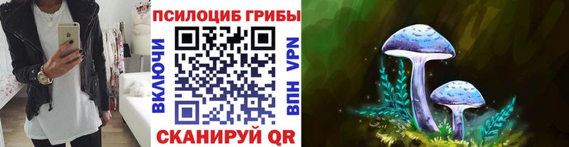 Купить  Ливны  Псилоцибиновые грибы ЛСД 